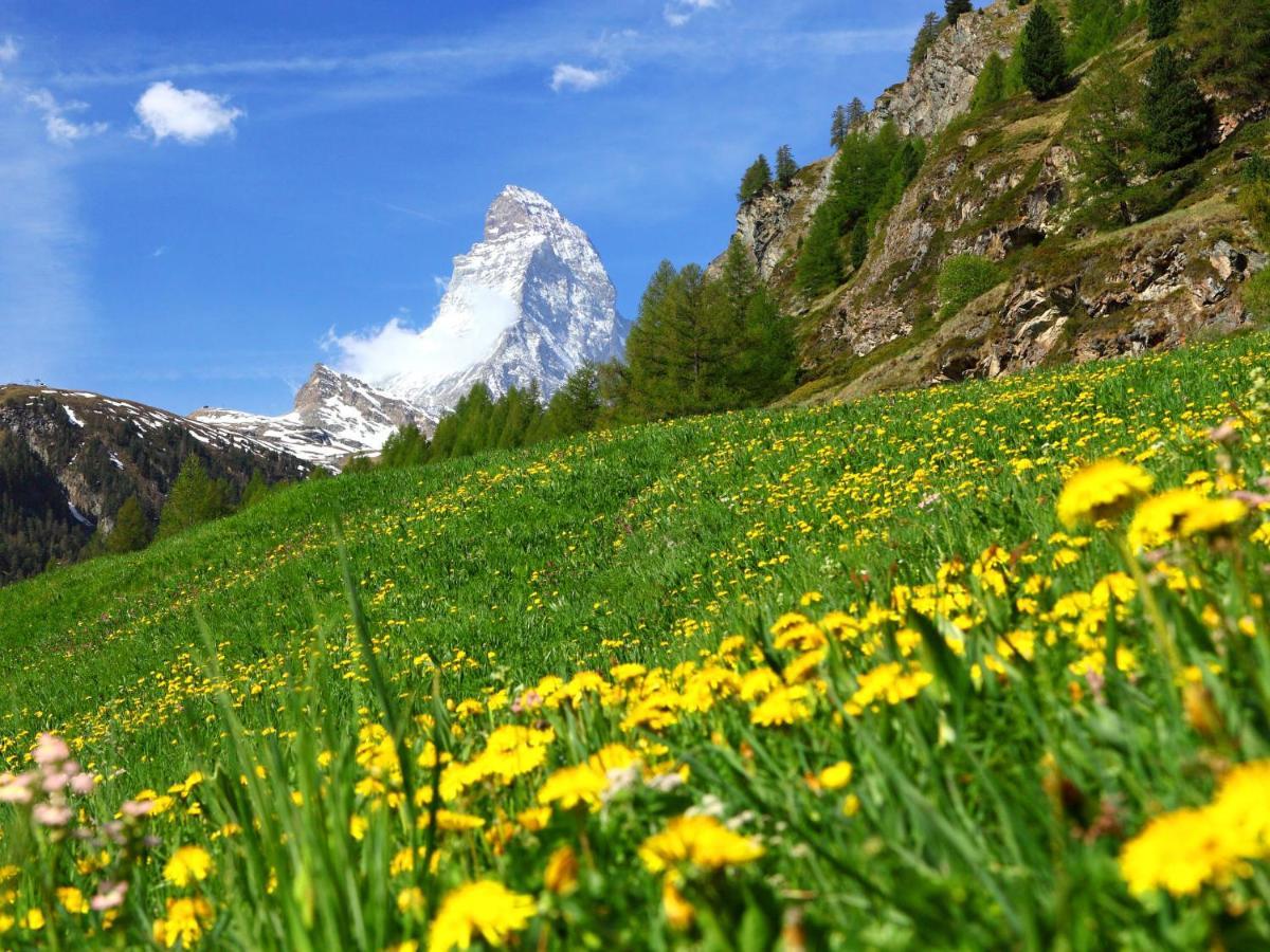 Apartment Bodmen A By Interhome Zermatt Kültér fotó